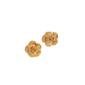 Aretes Puebla