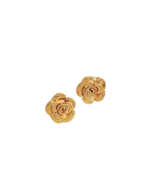 Aretes Puebla