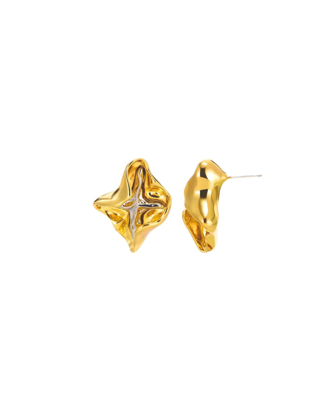 Aretes Bicolor Hera
