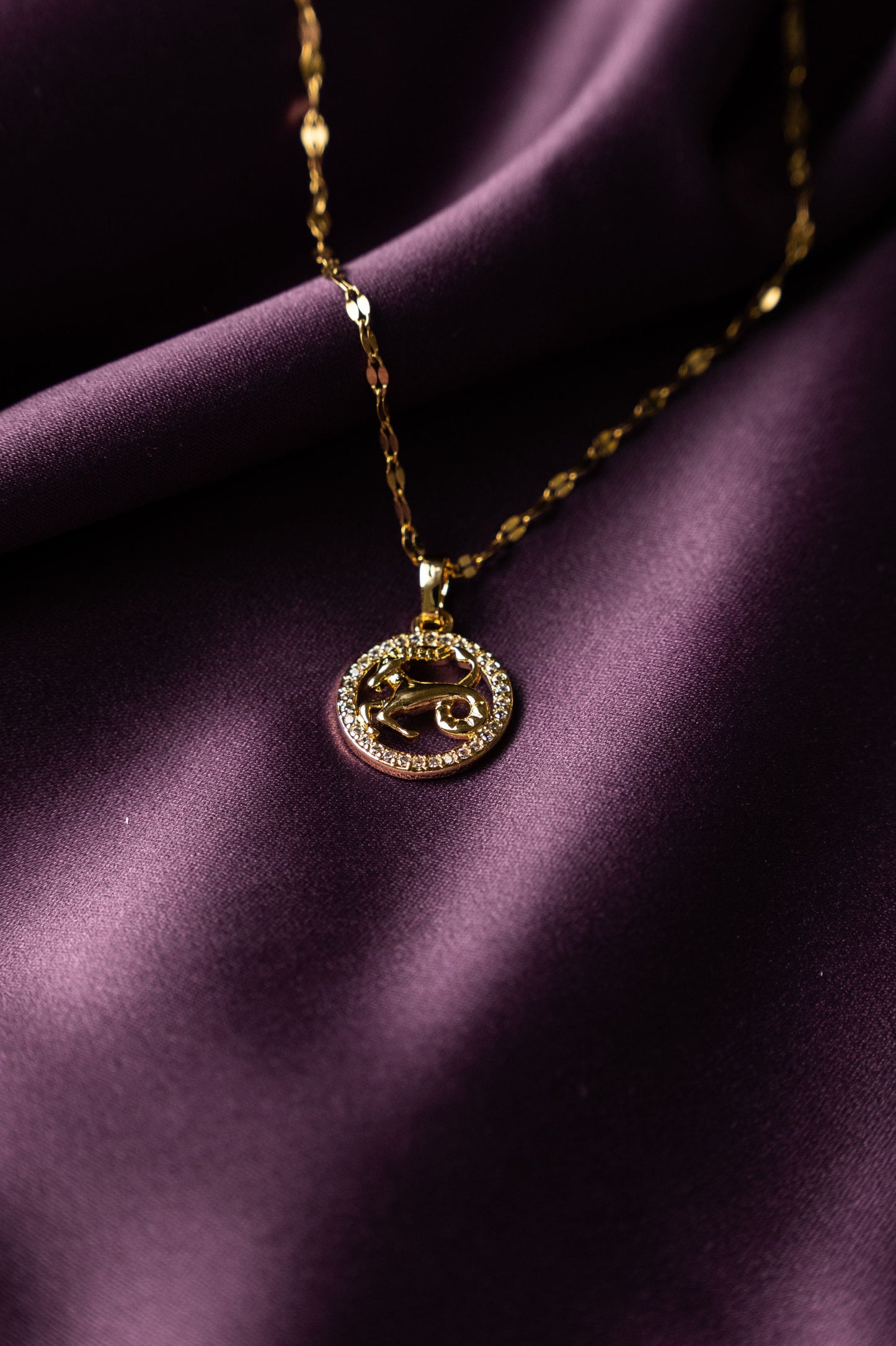 Collar Signo Zodiacal Brillo