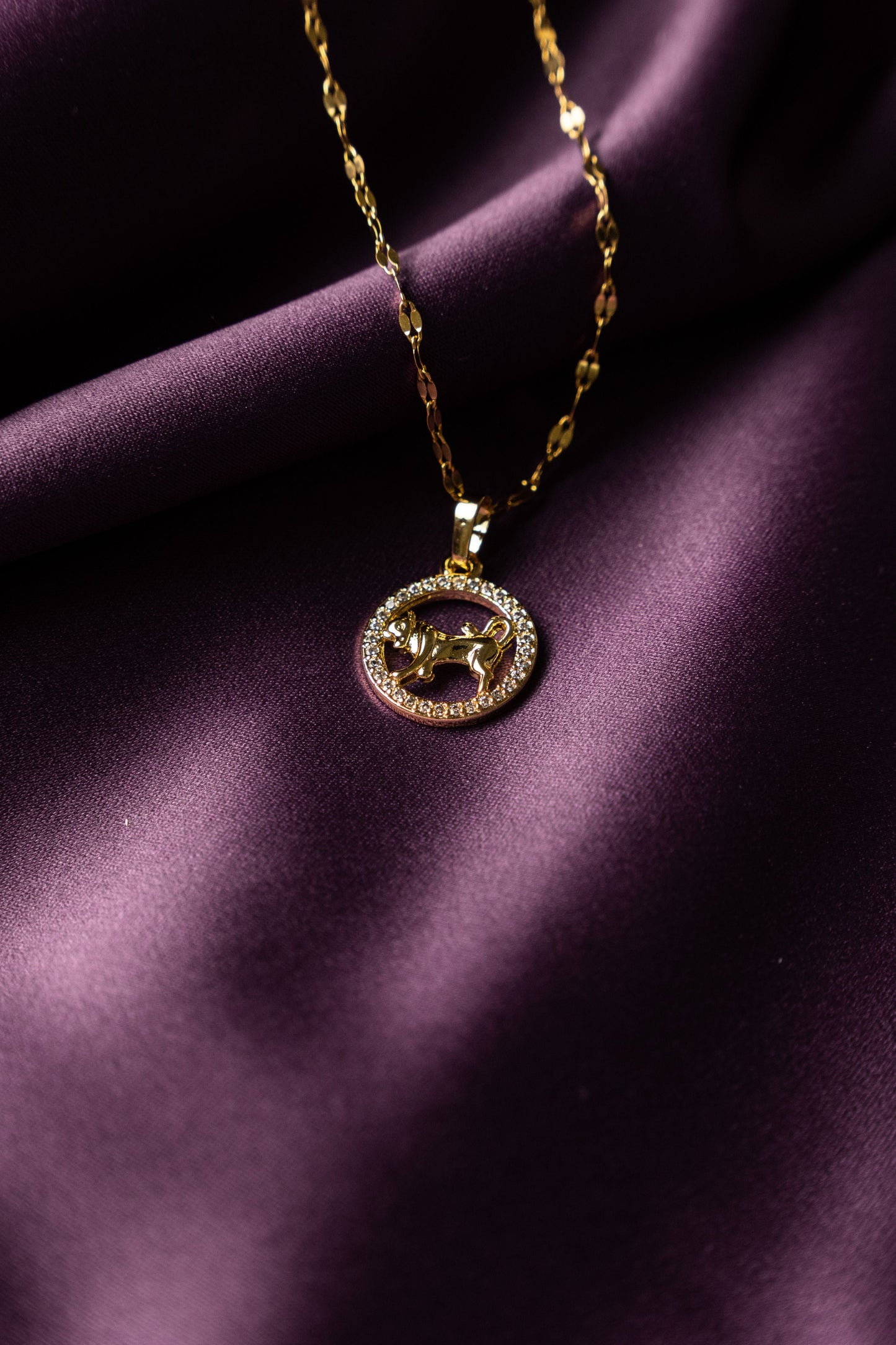 Collar Signo Zodiacal Brillo