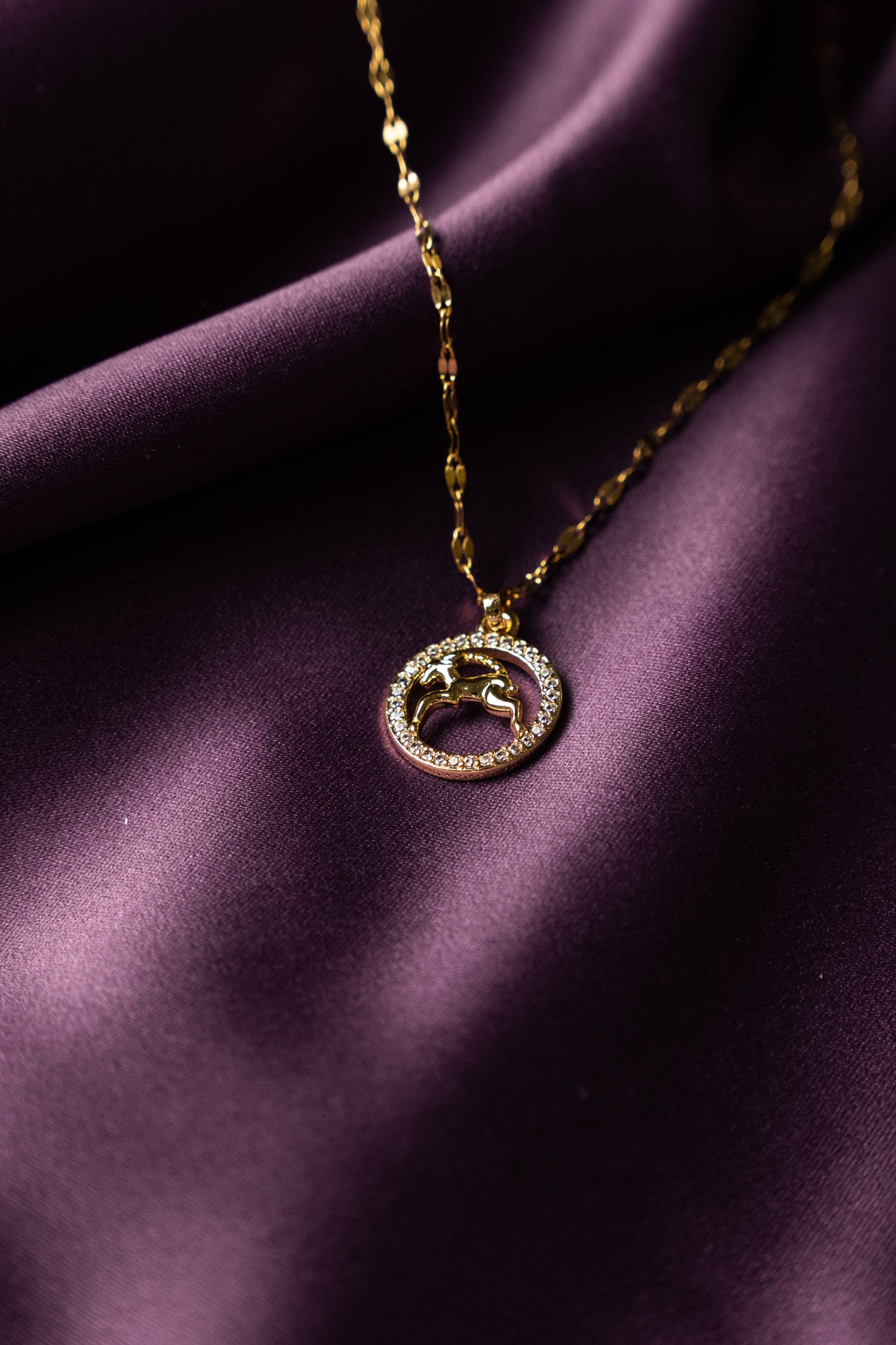 Collar Signo Zodiacal Brillo