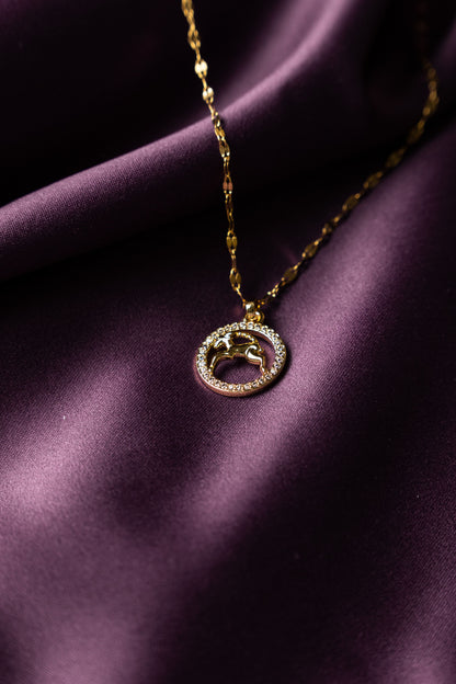 Collar Signo Zodiacal Brillo