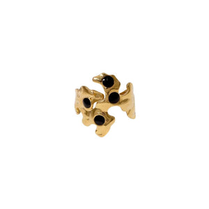 Anillo Arresife