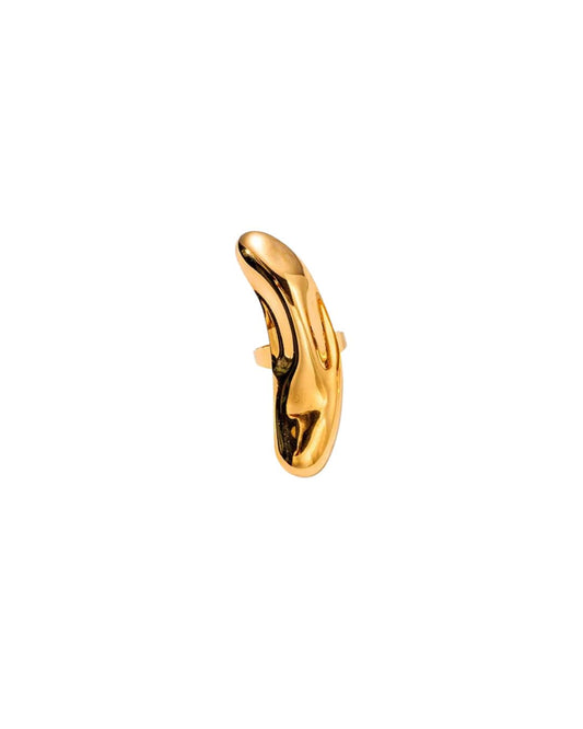 Anillo Vaina