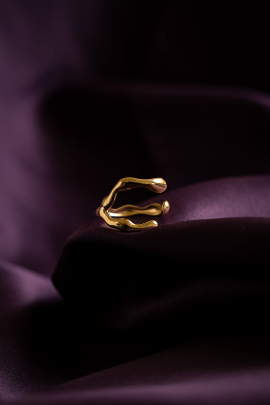 Anillo Garra