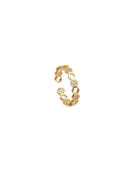 Anillo Panal