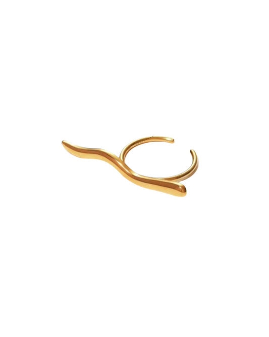 Anillo Jian