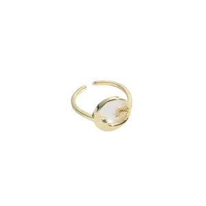 Anillo Día y Noche