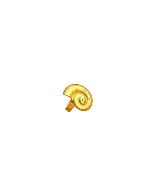 Anillo Kida