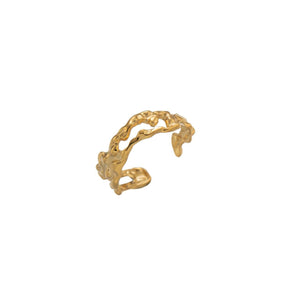 Anillo Fuego