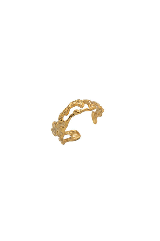 Anillo Fuego