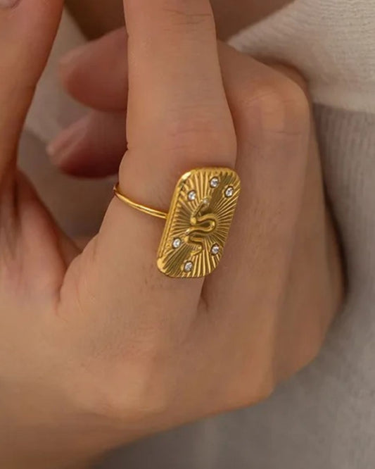 Anillo Snake Brillo