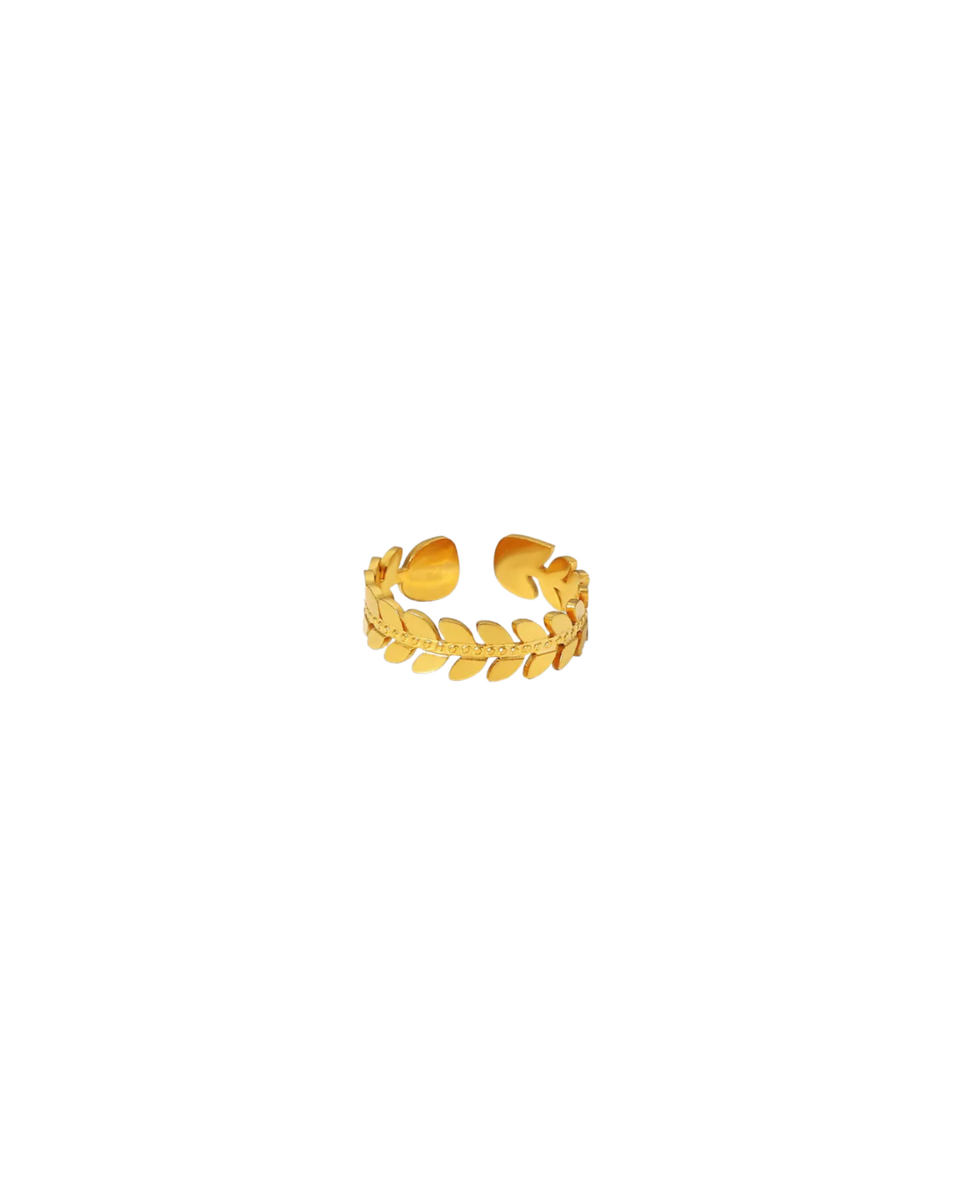Anillo Cesar