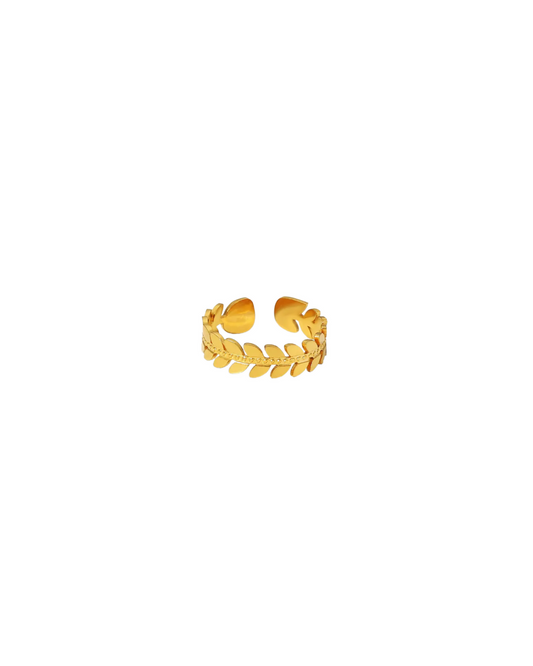 Anillo Cesar
