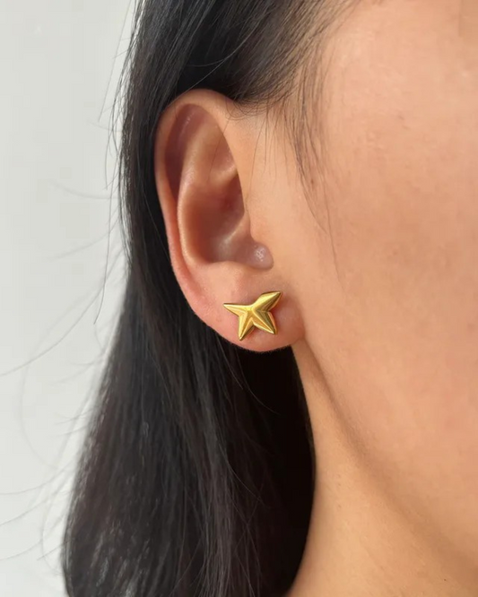 Aretes Half Star